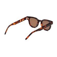 Load image into Gallery viewer, Legacy Tortoise/Brown