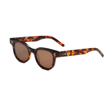Load image into Gallery viewer, Legacy Tortoise/Brown