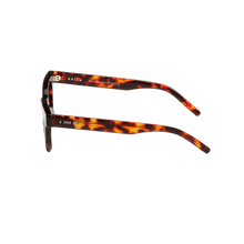 Load image into Gallery viewer, Legacy Tortoise/Brown